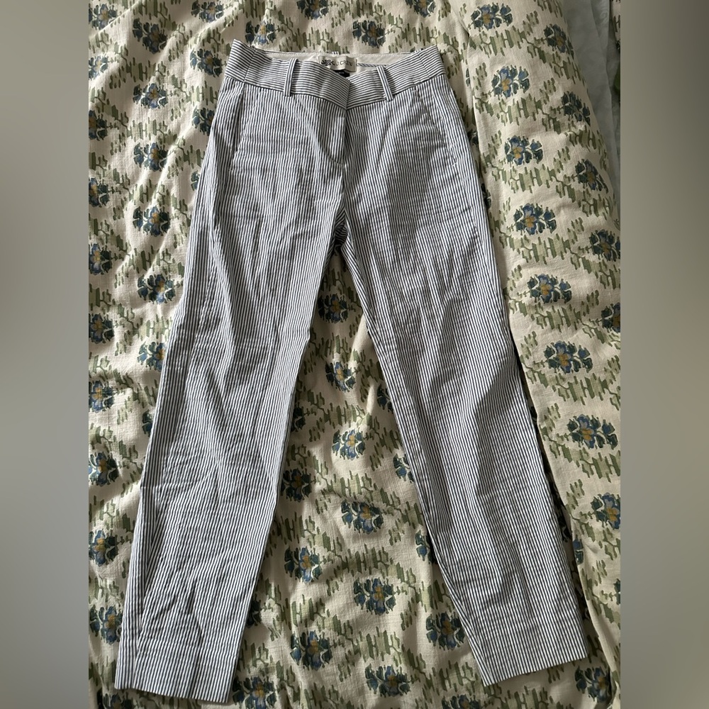 J. Crew Blue and White Stripped Chinos